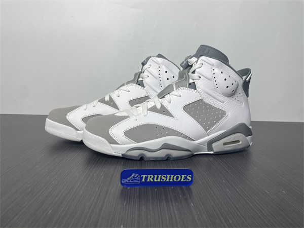 Jordan 6 Cool Grey CT8529-100