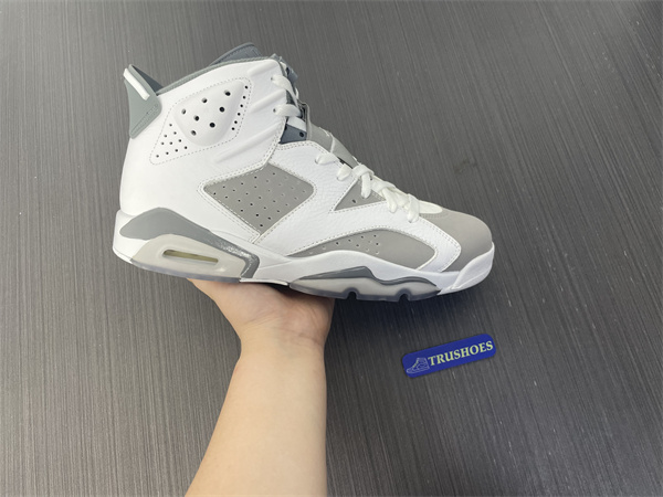 Jordan 6  Cool Grey CT8529-100