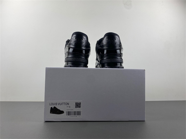 l**is V*t*n lv trainer