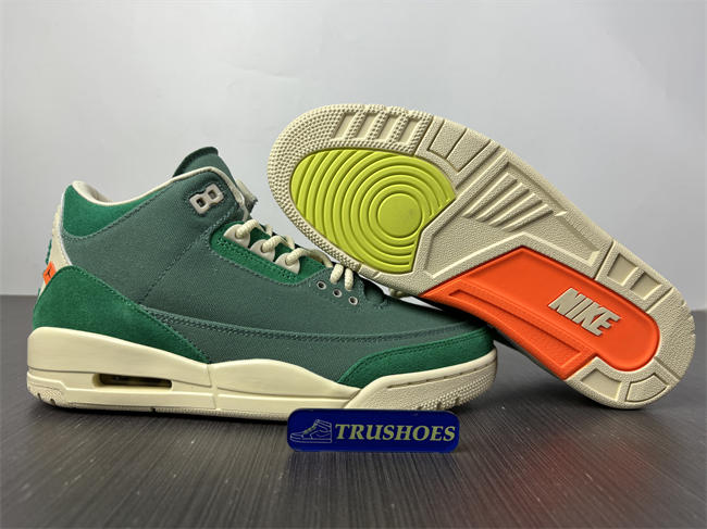 nina Ch*el abney x air jordan 3 og sp wmns fz7974-300
