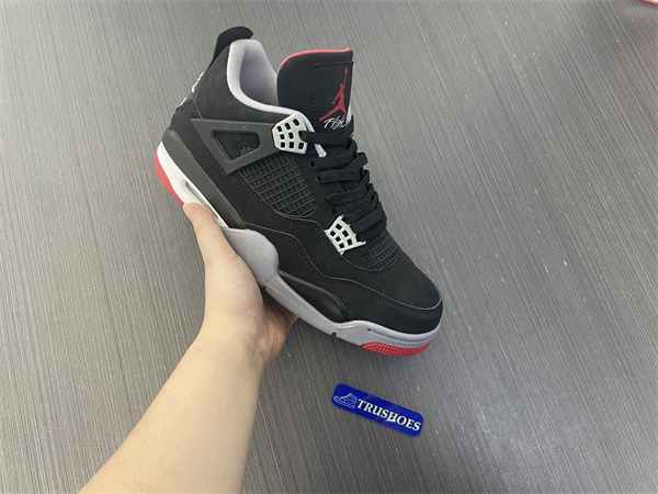 Jordan 4 Retro Black CementJordan 4 Retro Bred (2019)